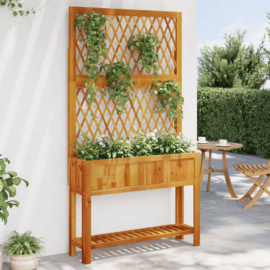 NNEVL Planter with Trellis and Shelf 100x32x185 cm Solid Wood Acacia-0