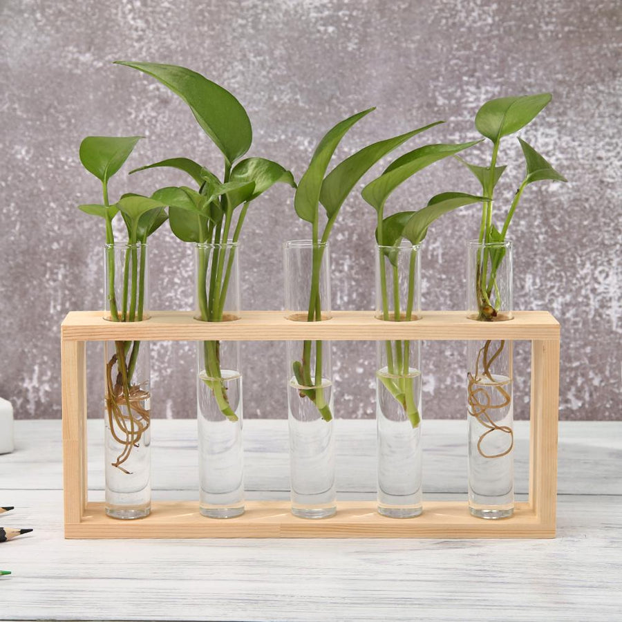 NNEOBA Glass and Wood Vase Planter Terrarium Table Desktop Hydroponics Plant Bonsai Flower Pot Hanging Pots with Wooden Tray Home Decor-20