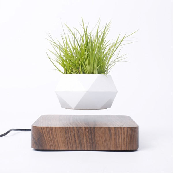 NNEOBA Levitating Air Bonsai Pot-0