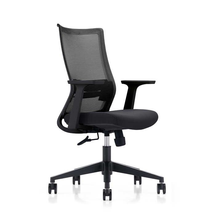 LDR-OL LDR ErgoLite Max Office Chair – Ergonomic with lumbar support
