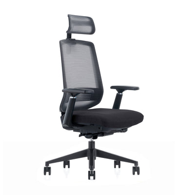 LDR-OL LDR ErgoLite Ultra Chair–Premium ergonomic office chair with 3D arms