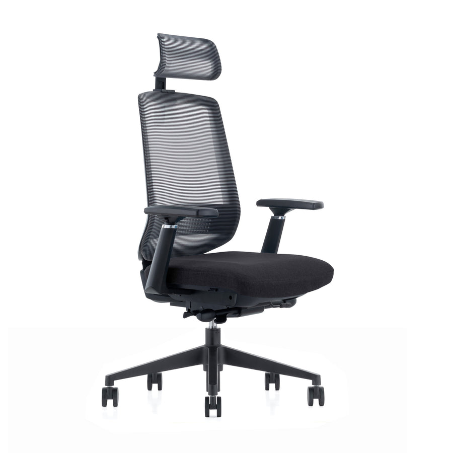 LDR-OL LDR ErgoLite Ultra Chair–Premium ergonomic office chair with 3D arms