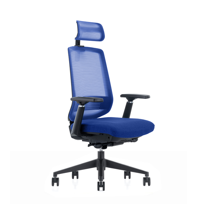 LDR-OL LDR ErgoLite Ultra Chair–Premium ergonomic office chair with 3D arms