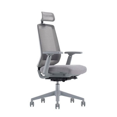 LDR-OL LDR ErgoLite Ultra Chair–Premium ergonomic office chair with 3D arms