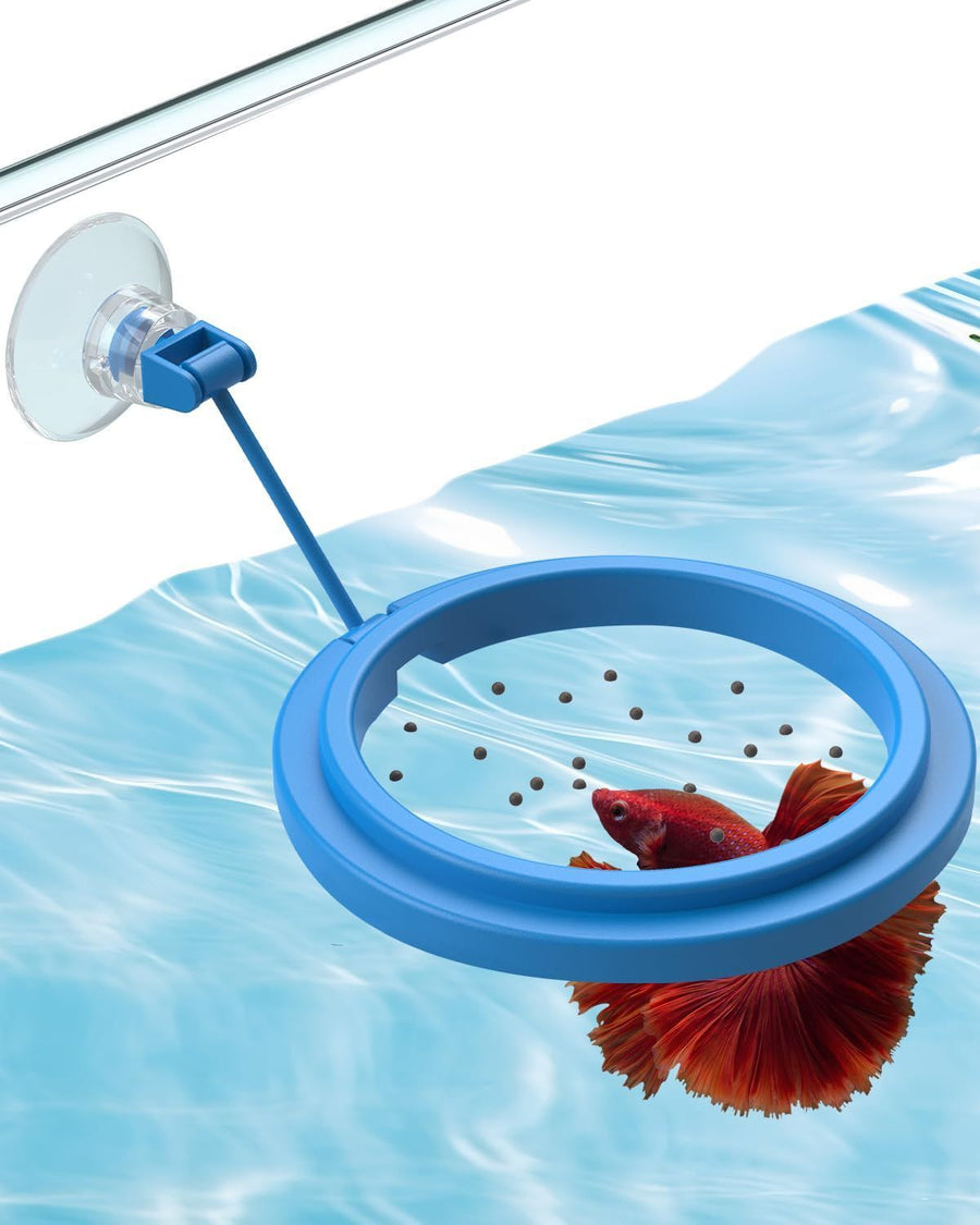 Betta Feeding Ring, Prevent Water Turbulence from Washing Food into Filter, Practical Round Floating Food, Suitable for Guppy, Goldfish and Other Small Fish (5 Pc)