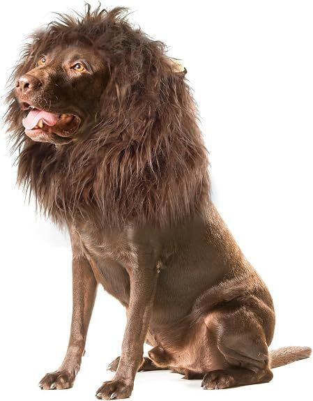 Lion Mane Wig for Dogs with Ears, Funny Pet Costumes for Halloween Christmas - Brown - Size M