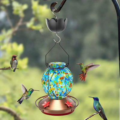 Large Diameter Ant Moat Cup Clear Reservoir Hard Plastic Stainless Hook Heavy-Duty Ant Guard for Hummingbird Feeder Garden Outdoor Backyard Decoration