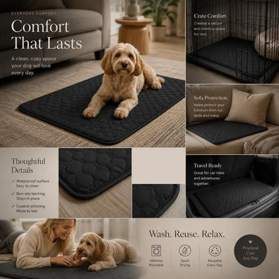 2pcs Black Pet Pad, Size S (50×35cm)