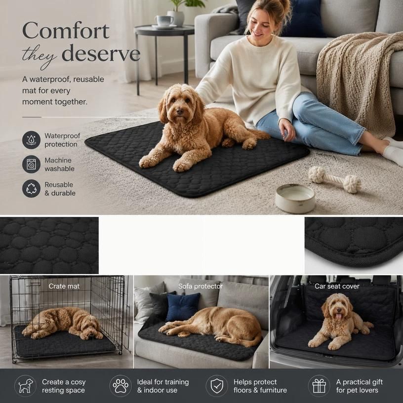 2pcs Black Pet Pad, Size L (70×50cm)