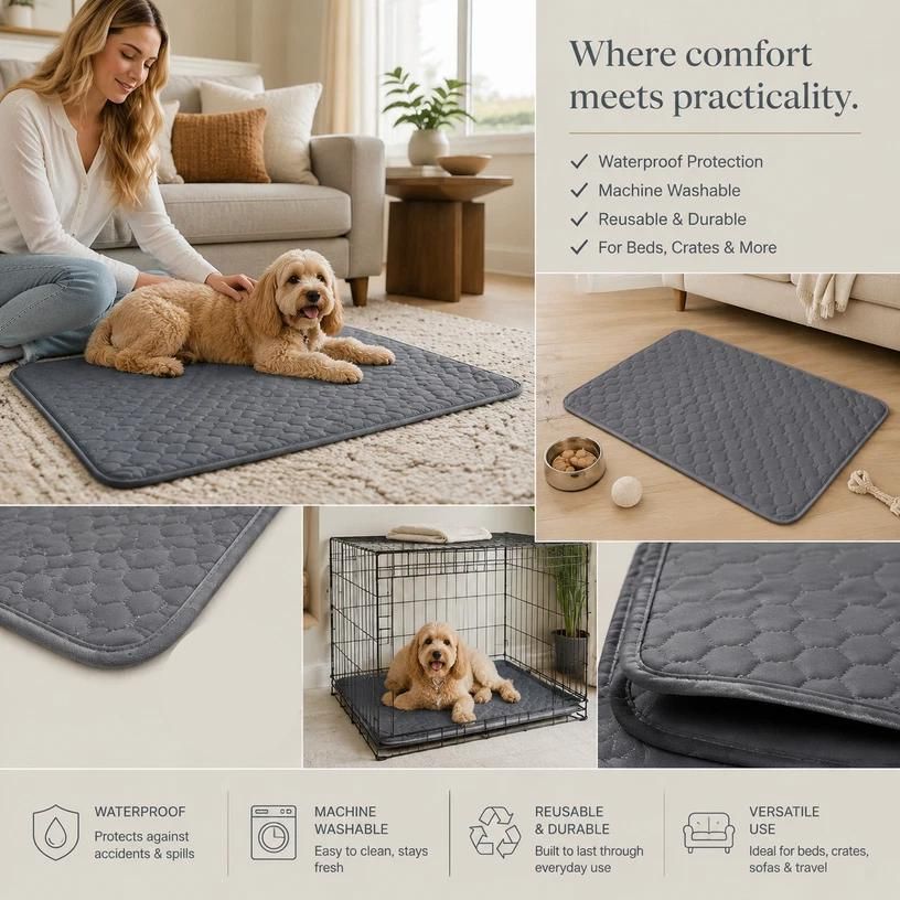 2pcs Grey Pet Pad, Size M (60×45cm)