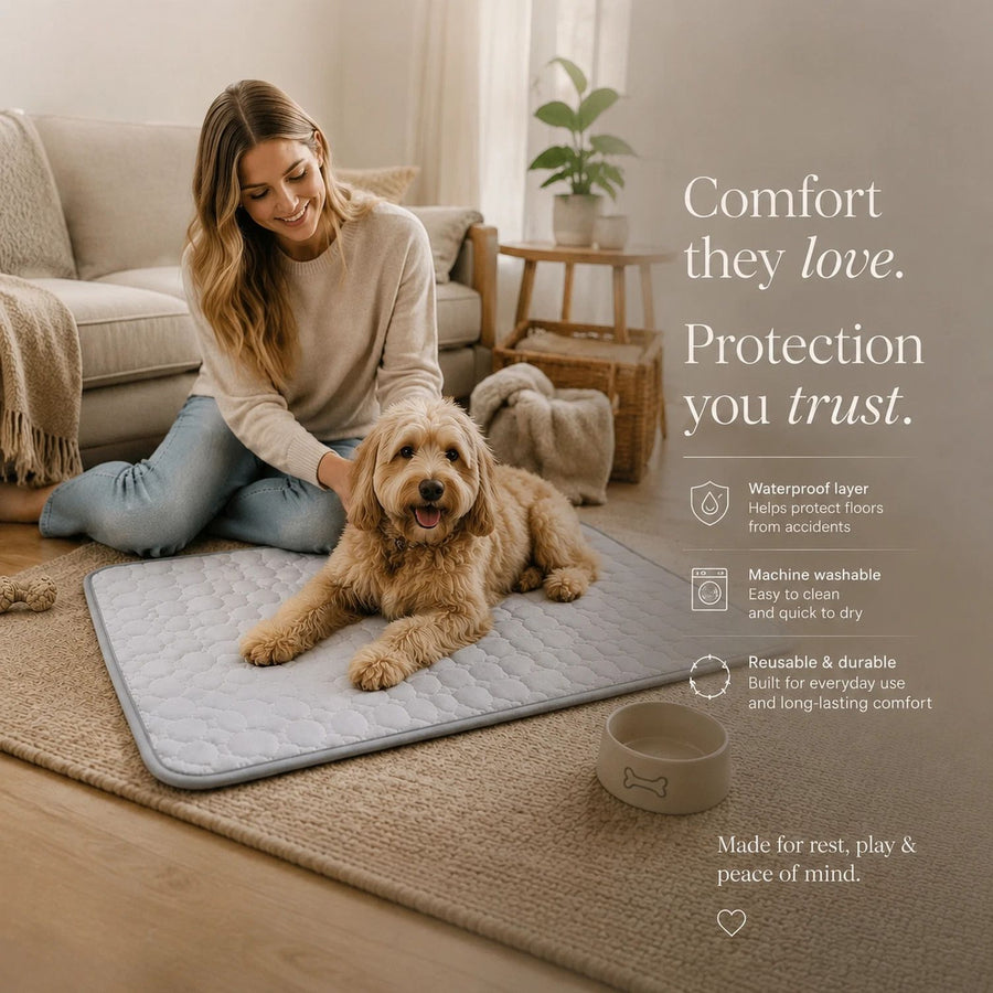 2pcs Grey Ice Silk Pet Pad, Size XL (100×75cm)