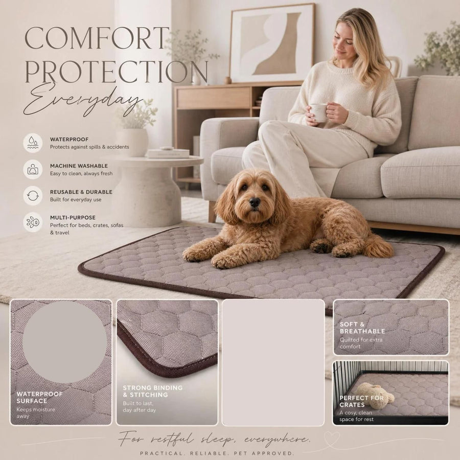 2pcs Coffee Ice Silk Pet Pad, Size M (60×50cm)