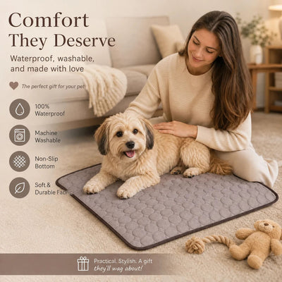 2pcs Coffee Ice Silk Pet Pad, Size XL (100×75cm)