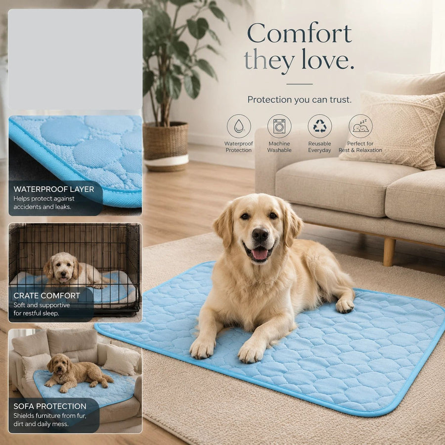 2pcs Blue Ice Silk Pet Pad, Size S (50×40cm)