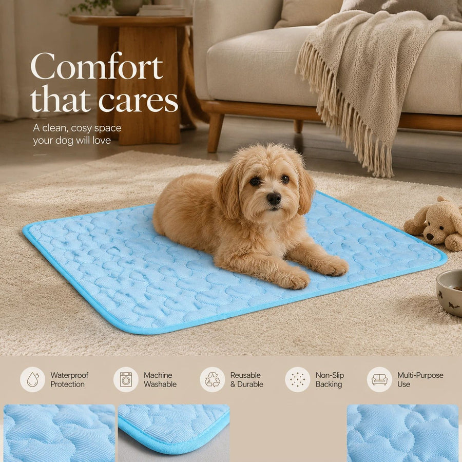2pcs Blue Ice Silk Pet Pad, Size M (60×50cm)