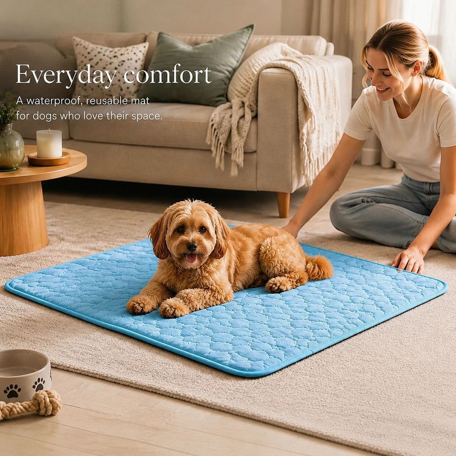 2pcs Blue Ice Silk Pet Pad, Size L (70×55cm)