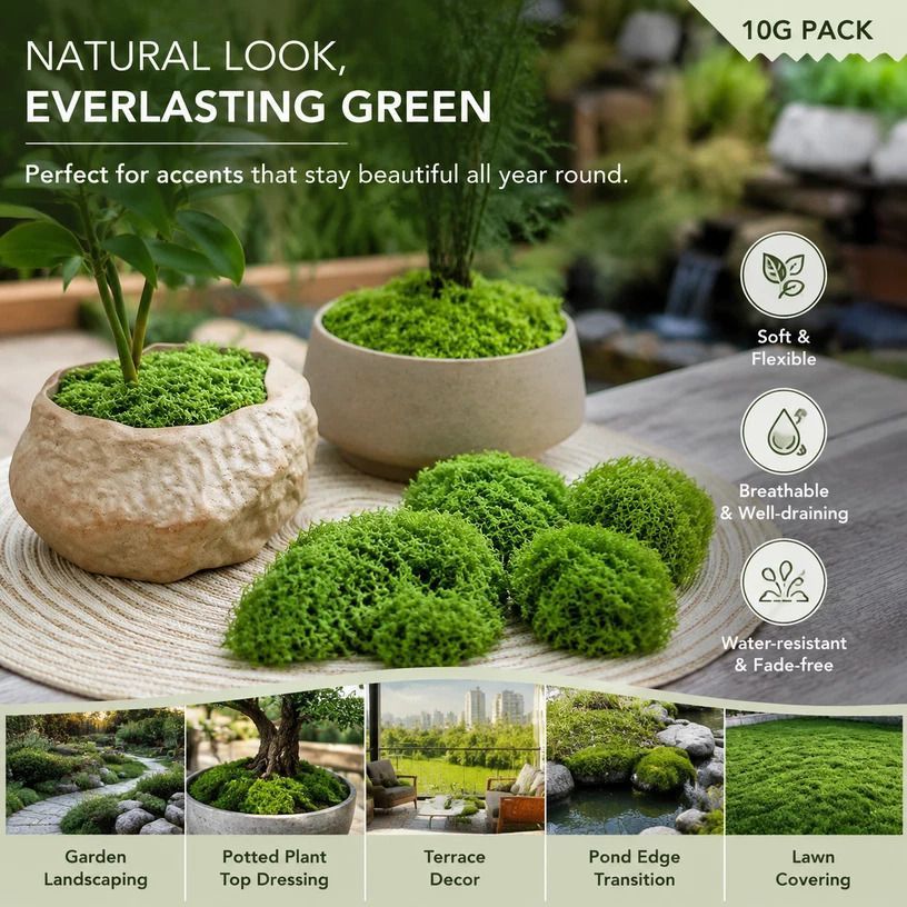Light Green Mini Preserved String Moss Bonsai Filler 10g