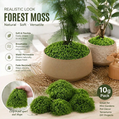 Dark Green Tiny Artificial Thread Moss Micro Landscape Supply 10g