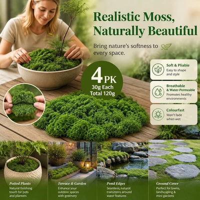 Dark Green Preserved String Moss Bonsai Top Dressing Set of 4 Bags 30g