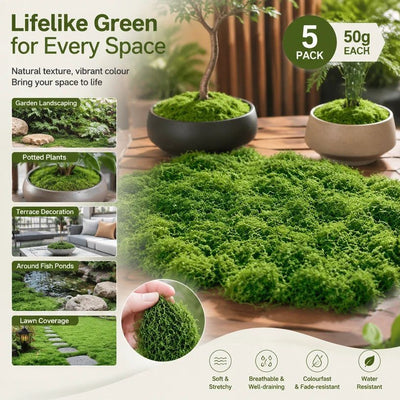 Dark Green Artificial String Moss Terrarium Filler Kit Set of 5 Bags 50g