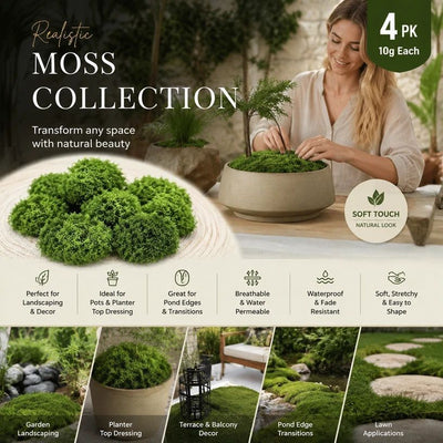 Light Green Mini Preserved String Moss Small Bonsai Filler Set of 4 Bags 10g