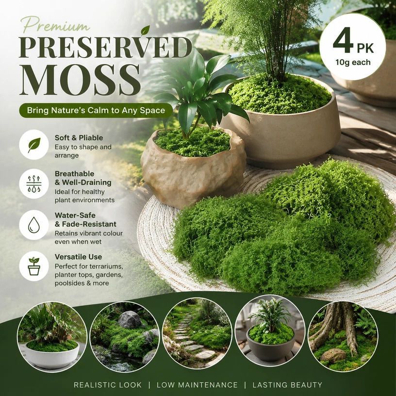 Dark Green Tiny Artificial Thread Moss Terrarium Craft Kit 4 Pack 10g