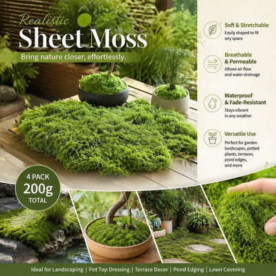 Light Green Bulk Preserved Moss Landscape Decor Set of 4 Bags 200g
