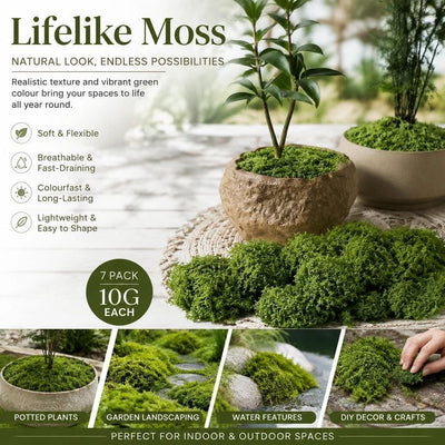 Light Green Mini Preserved String Moss Small Bonsai Filler Set of 7 Bags 10g