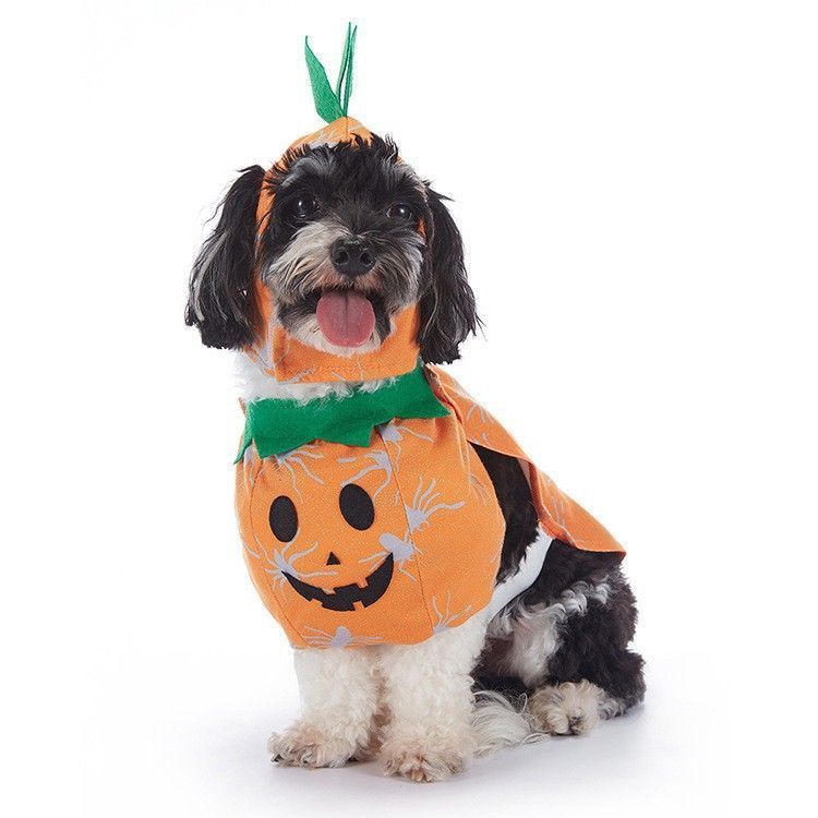 Pet Festival Dress-up Decor, Worn Ornament Suitable for Halloween & Christmas Holiday Gathering, Size M