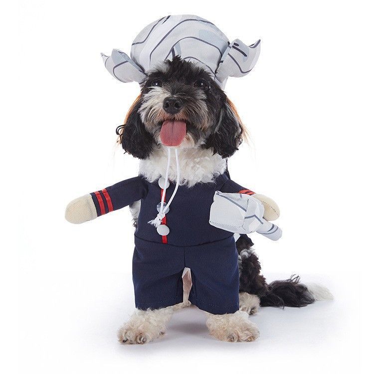 Themed Gathering Decor Outfit For Pets, Holiday Dress-up Accessory for Halloween Christmas Events, Size L