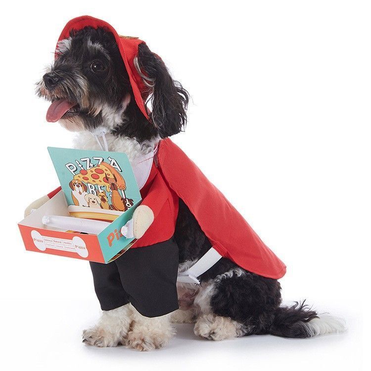 Holiday Gathering Ornament For Cats & Dogs, Unique Dress-up Accessory For Halloween Christmas Celebrations, Size M
