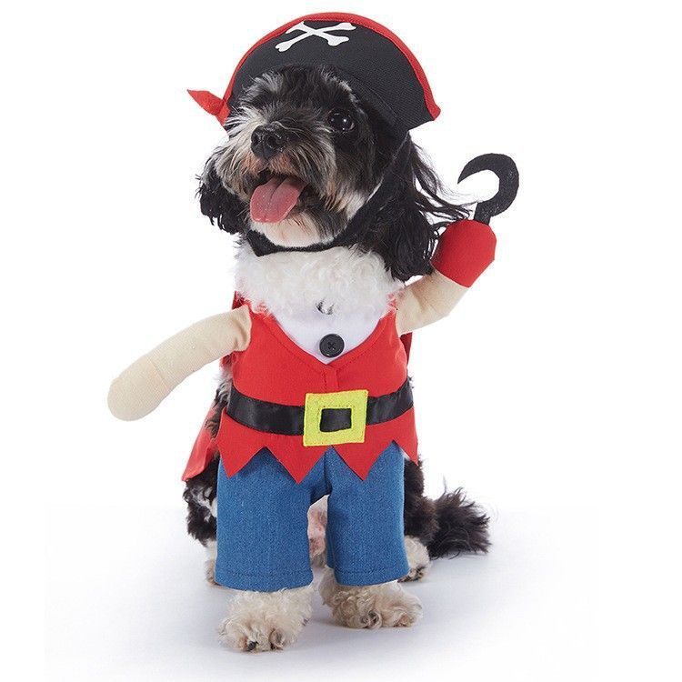 Festival Party Activity Outfit For Pets, Holiday Decor Wear For Halloween Christmas Celebrations, Size L
