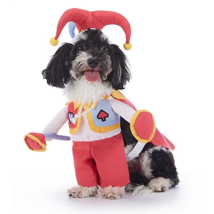 Celebration Party Decor Outfit For Cats & Dogs, Festival Holiday Dress-up Accessory for Halloween Christmas, Size L
