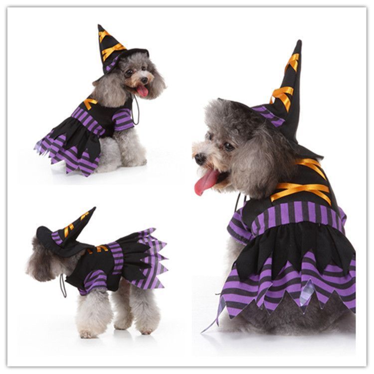 XL Size Black Orchid Pet Costume, Fancy Dress for Halloween & Christmas, Lightweight for 7-10 kg Dogs and Cats