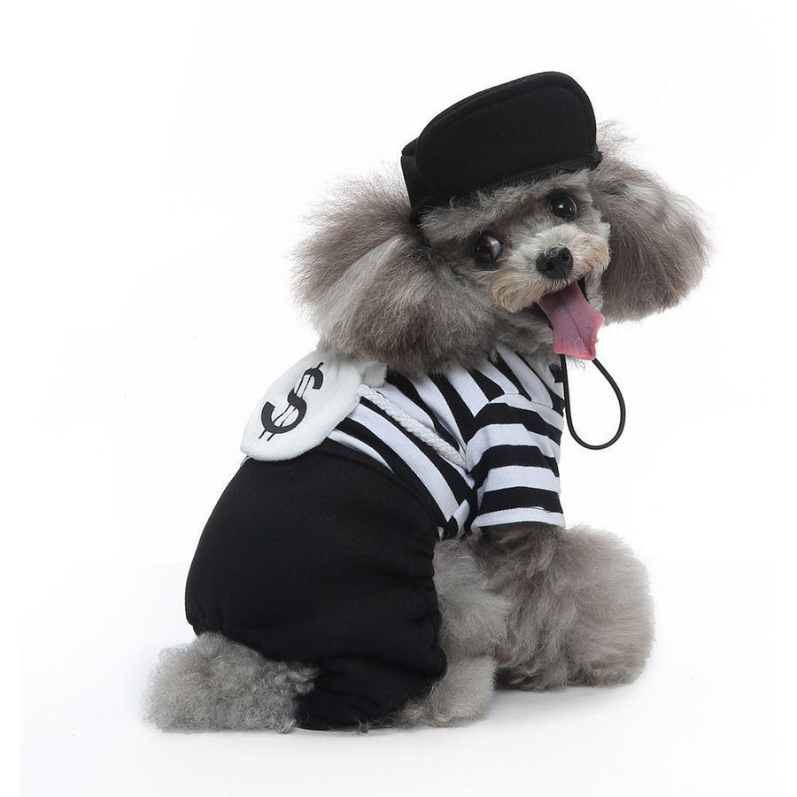 M Size Kaleido Stripe Pet Costume, Fancy Dress for Halloween & Christmas, Lightweight for 3.5-4.5 kg Dogs and Cats