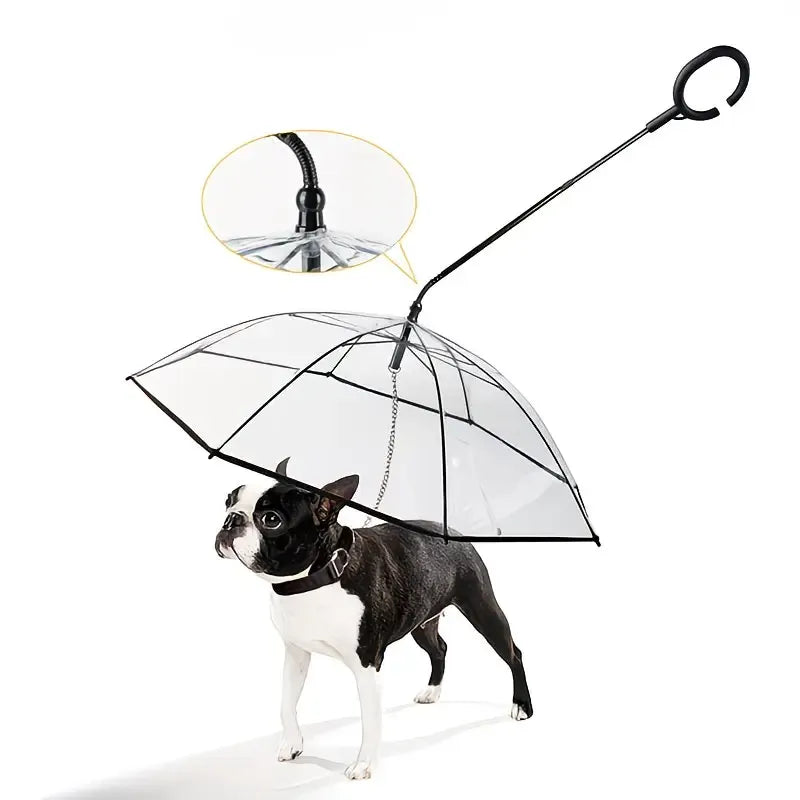 Bendable transparent pet umbrella with leash chain, rain or shine, one umbrella for outdoor pet walks