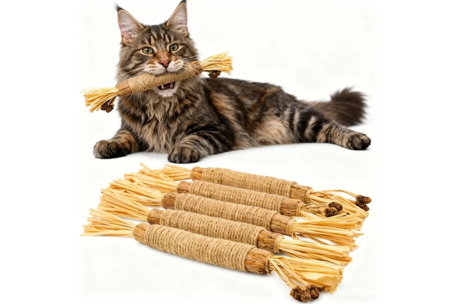 5 Pack Natural Silvervine Sticks Cat Dental Chew Toy Teeth Cleaning Kitten Bite