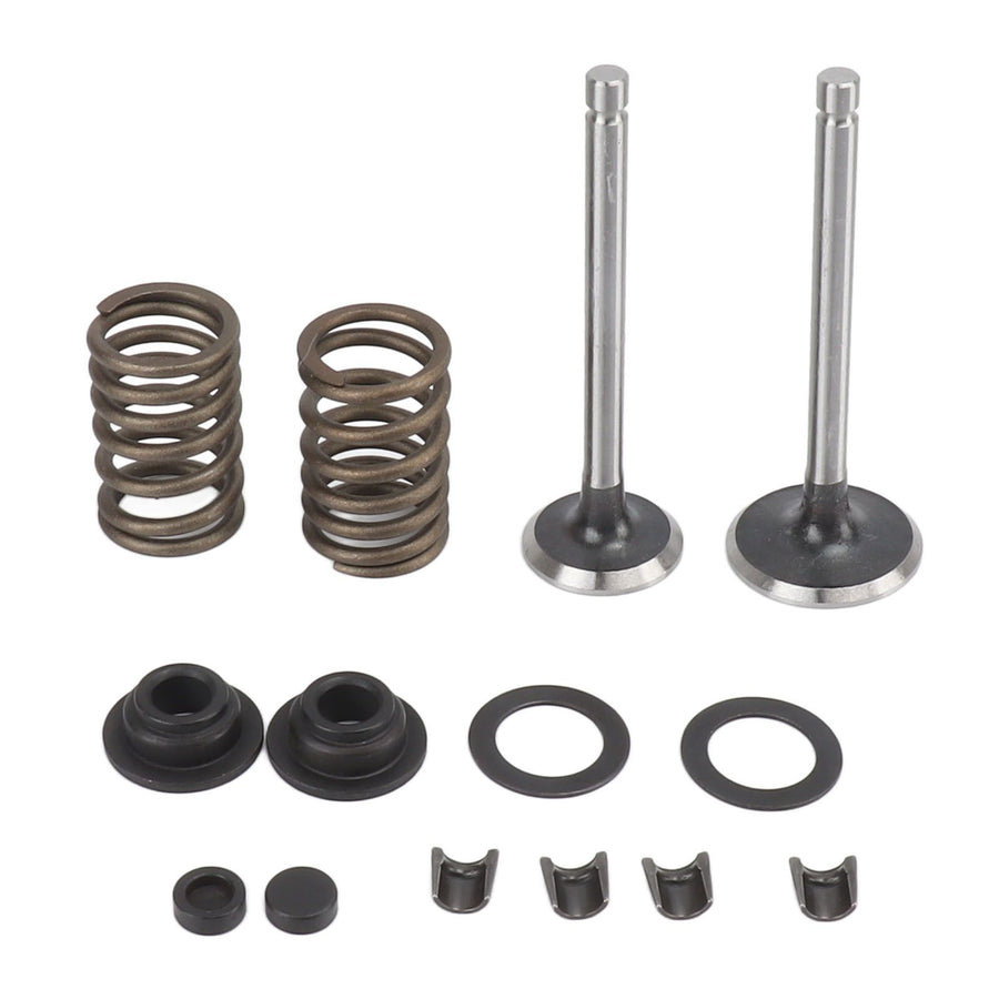 Microtiller Valve Parts Iron Wear Resistant Anti Corrosion Spring Washer Locking Clip Set for Generator