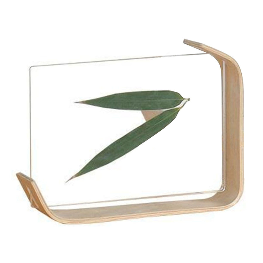 Desktop Plant Specimen Frame Wooden Acrylic Simple Modern Photo Frame Desktop Ornament Home Decoration