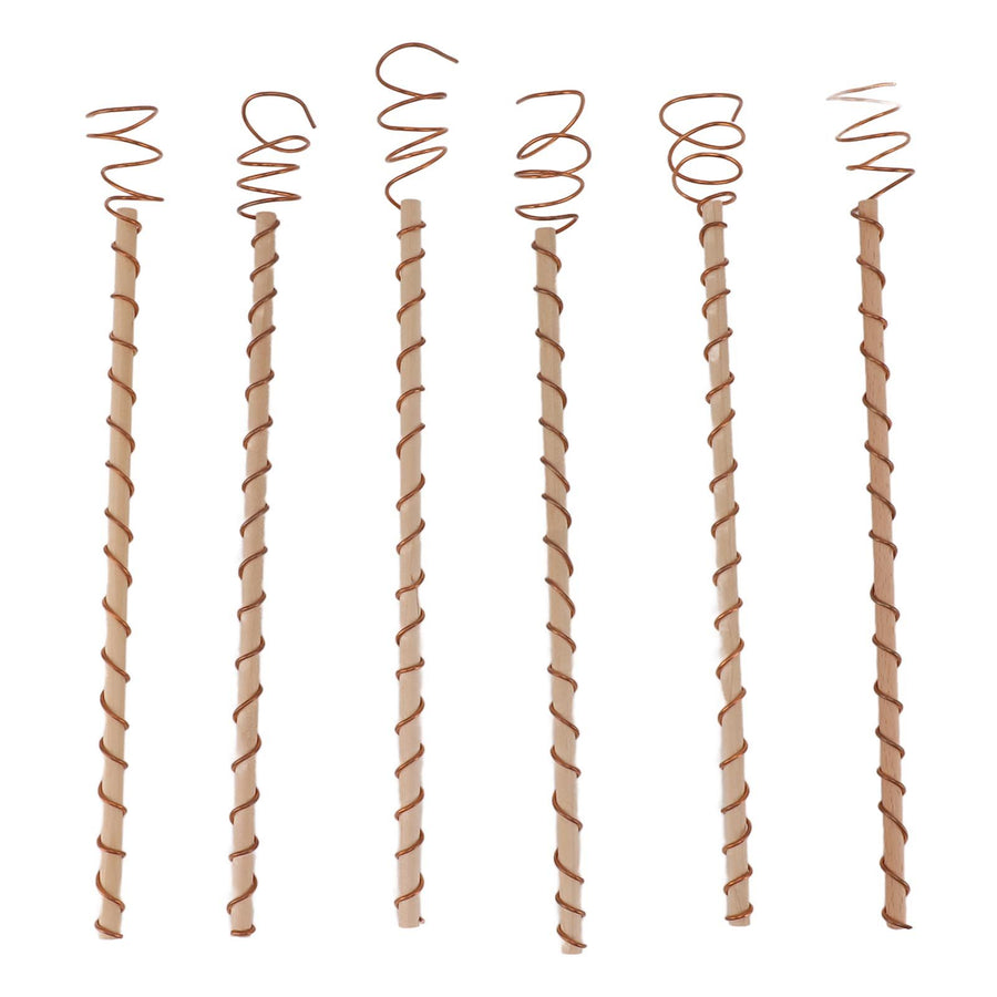 6PCS Electroculture Stakes Stable Support Garden Antenna Copper Coil for Growing Garden Plants Fruits Vegetables