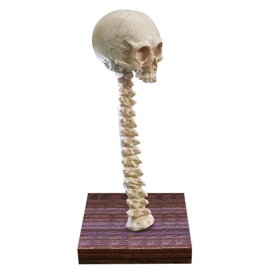 Skeleton Lamp Halloween 3D LED Skeleton Lamp Haunted House Ornament Prop Gifts for Birthday