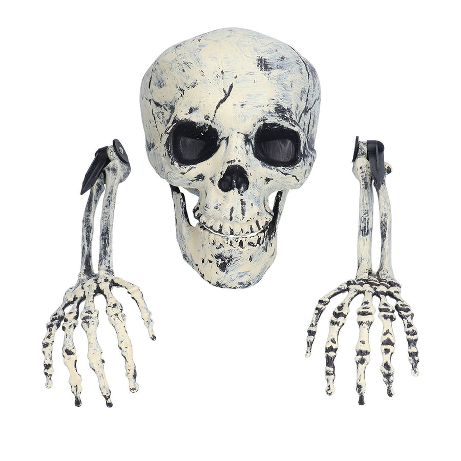 Skeleton Decor Cosplay DIY Multifunctional Lifelike Compact Scary Halloween Skeleton