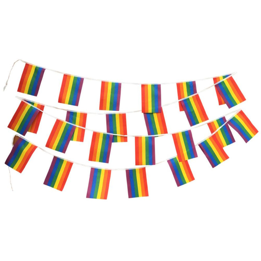 Rainbow Flag LGBT Pride String Flag Hanging Gay Lesbian Banners Bunting Flags Small Rainbow Flag Parade Festival Party Decorations