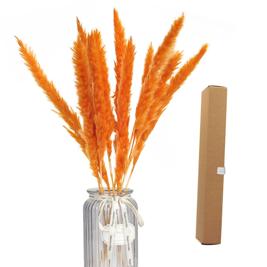 Dried Pampas Grass Natural Reed Dried Flowers Dried Pampas Grass Flowers Bouquet for Boho Home Decor