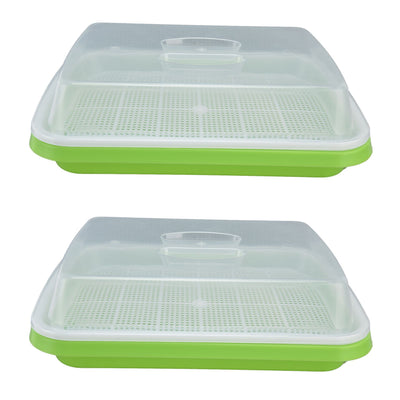 Sprouting Tray Transparent Lid Dense Small Holes Fine Workmanship Plastic Material Seed Sprouter