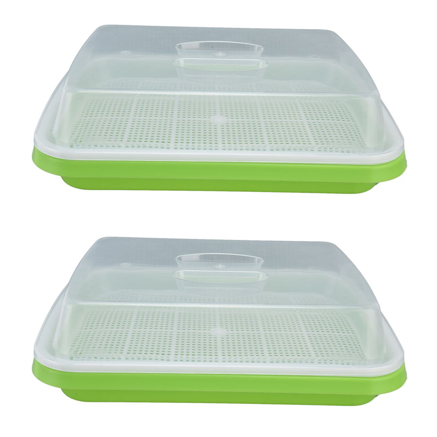 Sprouting Tray Transparent Lid Dense Small Holes Fine Workmanship Plastic Material Seed Sprouter