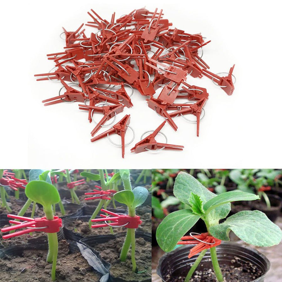 100PCS Plants Graft Clips Plastic Grafting Clips Practical Garden Plant Clips