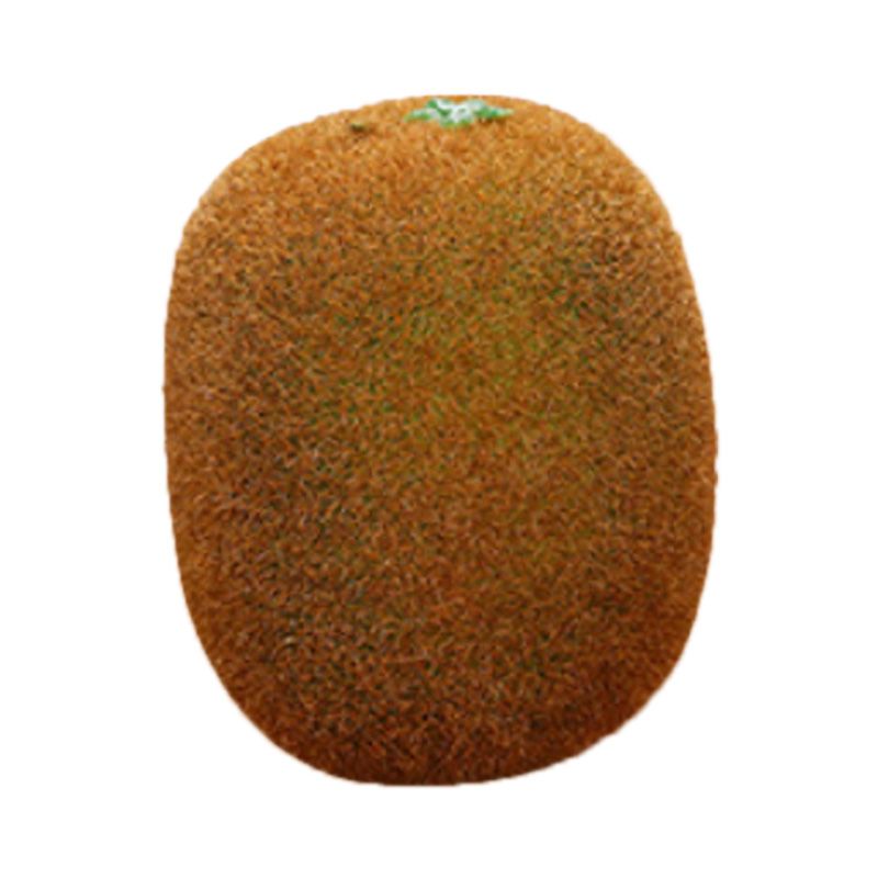 Artificial Fruit Simulation Model Foam Fake Fruit Kindergarten Teaching Aids Decorative Props Kiwi Fruit