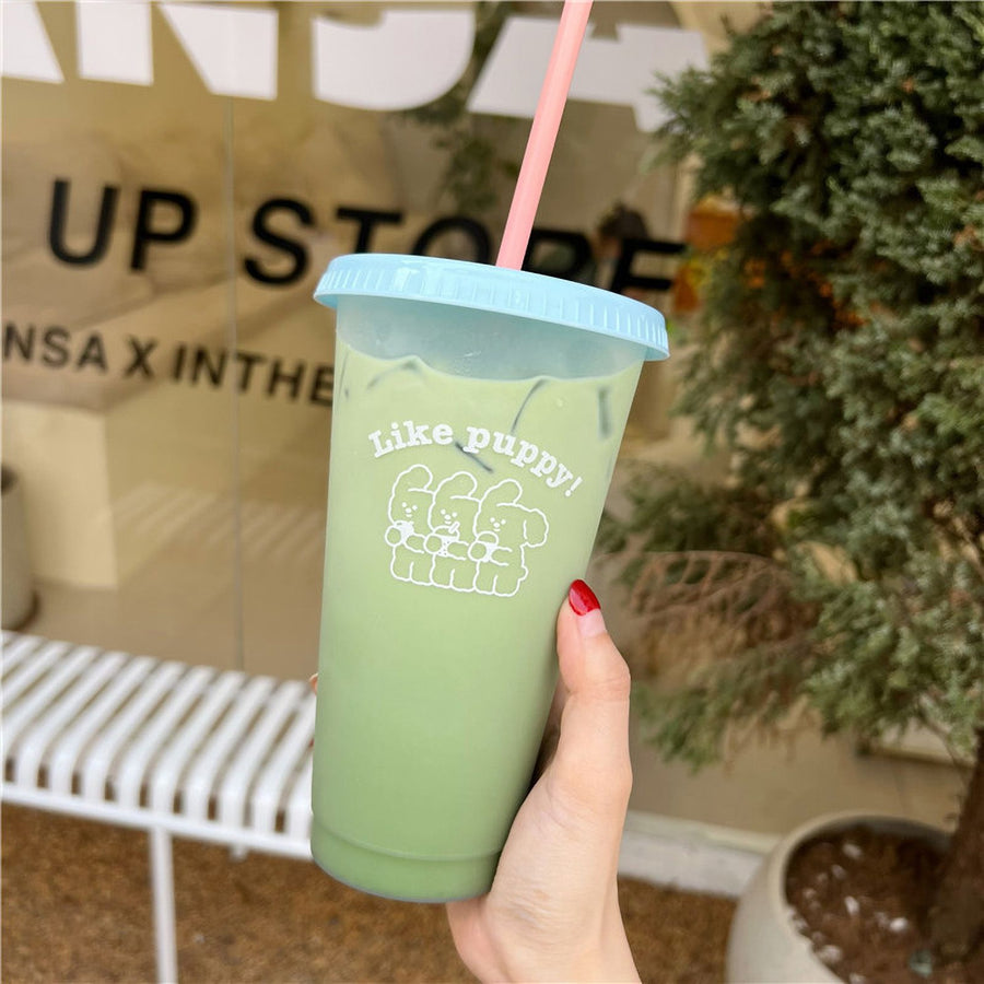 Plastic Coffee Cup Large Capacity Cute Water Cup With Straw Lid for Summer Cold Drinking Three Bears 700ml