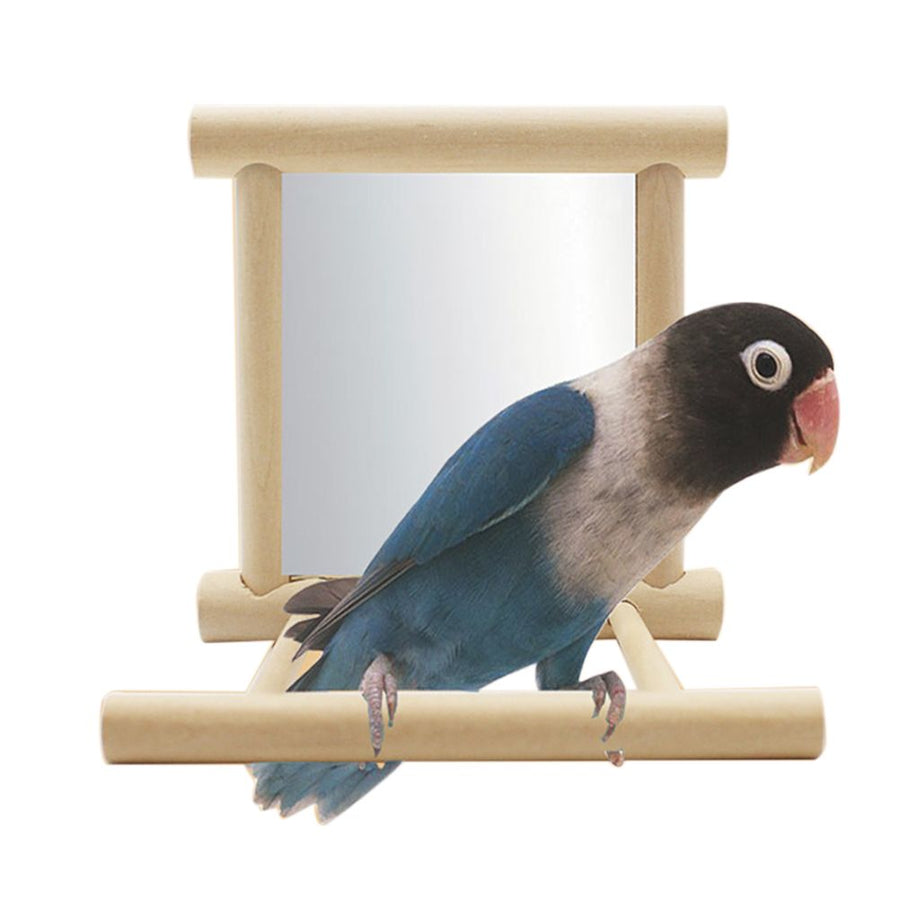 Stand Perch with Mirror for Parrot Pet Accessories Wooden Decorations